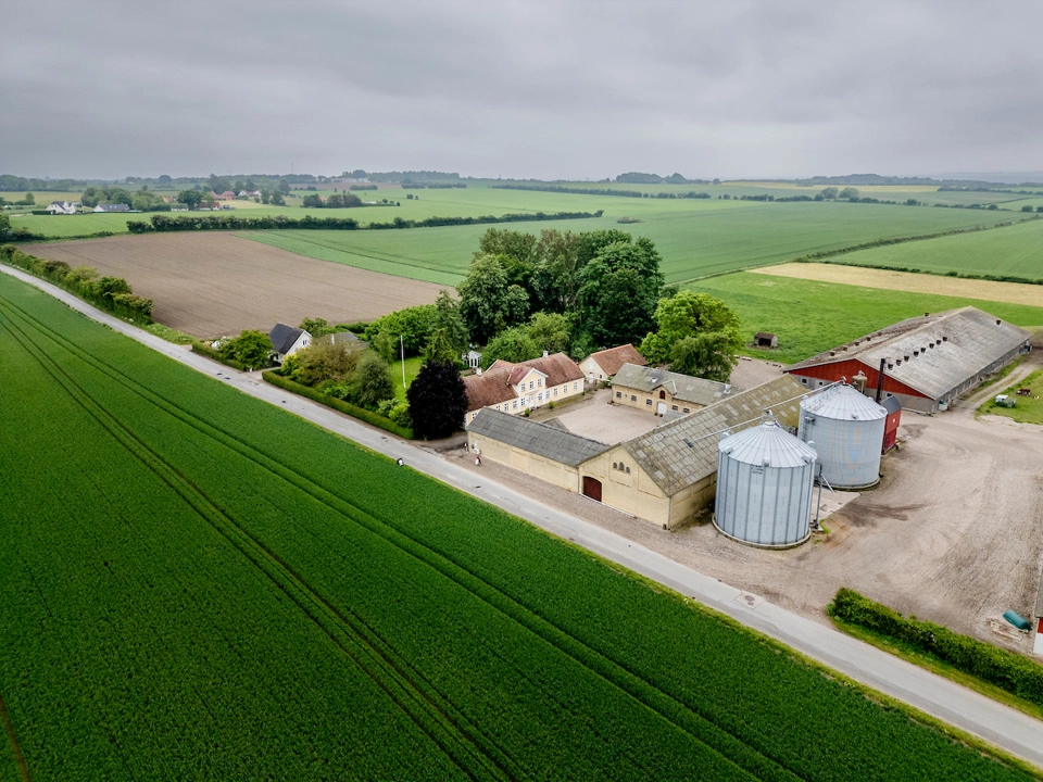 340-Birkelund13.jpg