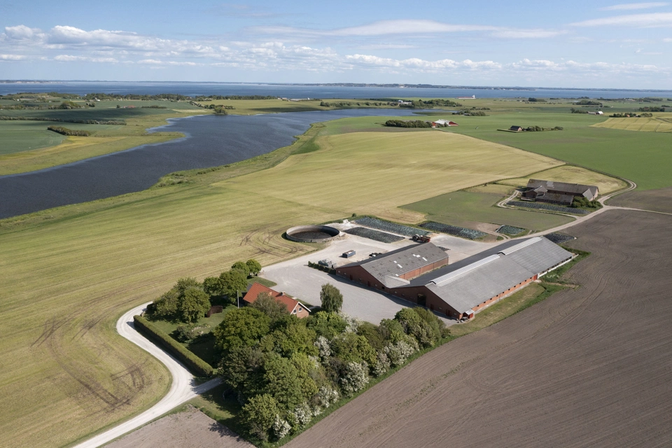 Nørgaard 955.jpg