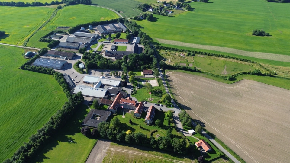 DJI_0237.JPG