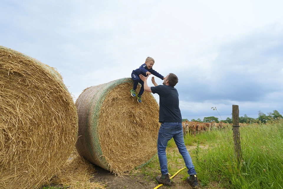 SL Agro 469 487.jpg